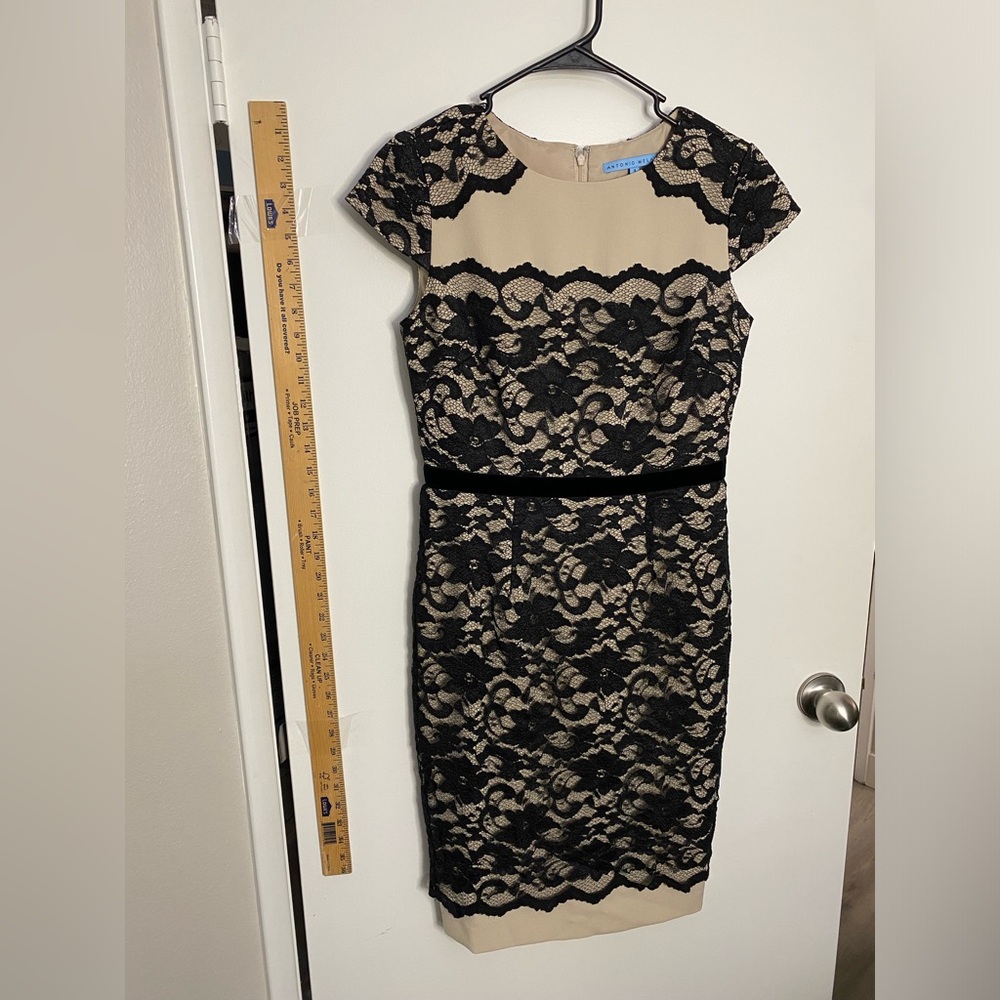 Antonio Melani Lace Sheath - 4